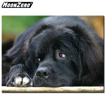 

New 5D Square Diamond painting Cross stitch Diamond painting Set DIY Resin Full Embroidery Black dog Diamond Inlay SF6121