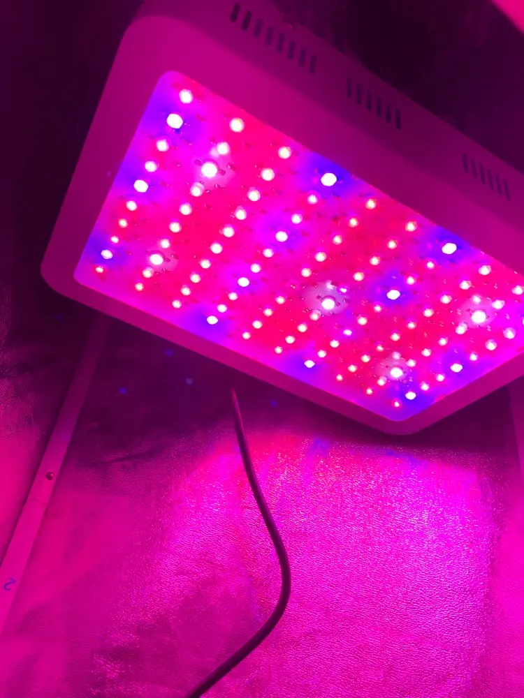 Полный спектр 300/600/800/900/1000/1200/1800/2000W LED Grow Light 410-730nm для комнатных растений и цветок парниковых расти палатку