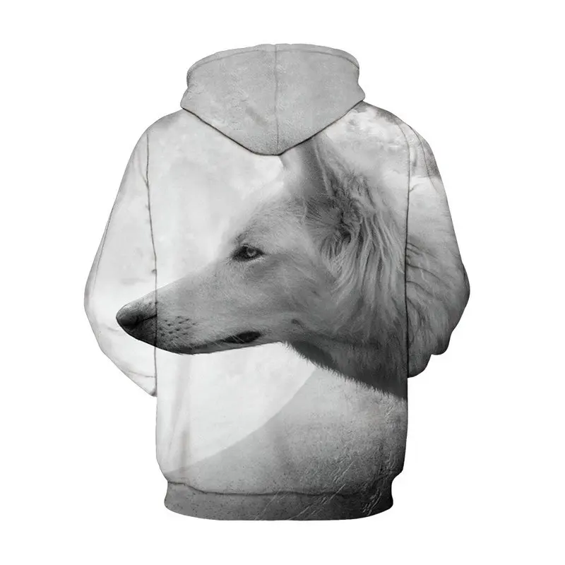 5107278247_1839471836