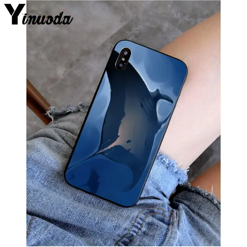 Animal manta ray