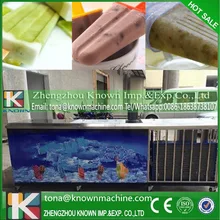 Certificated stainless steel body 4000pcs/day formula adjustable ice cube making machine automatic with 2 moulds