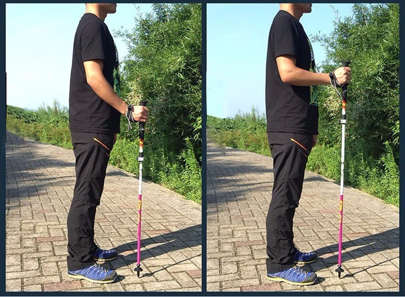 Pioneiro ao ar Fibra de Carbono Livre Pólo Caminhadas Bengalas Varas Nórdicos Bengala Dobrável Ajustável 5-seção Escalada Trekking Pólos 12 Esporte e Lazer