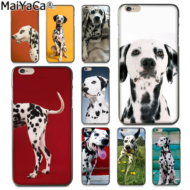 iphone 8 case dalmatian iphone 8 case dalmatian