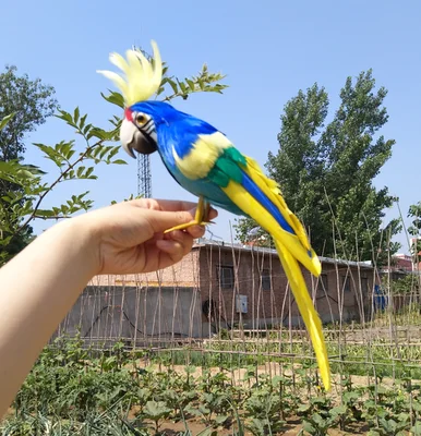 1 - 