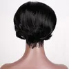 Lace Wigs