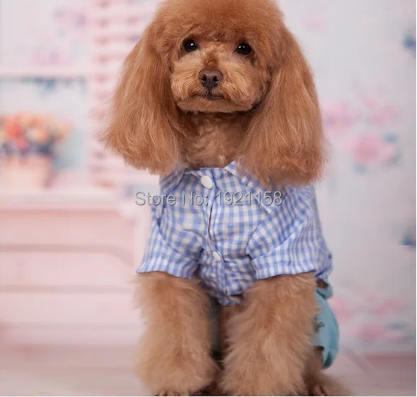 2016_Hot_sale_New_Spring_Pet_dog_clothes_College_Style_pet_Jumpsuit_Pants_Puppy_dog_Bib_clothes_Lovely_Four-legs_clothes_1