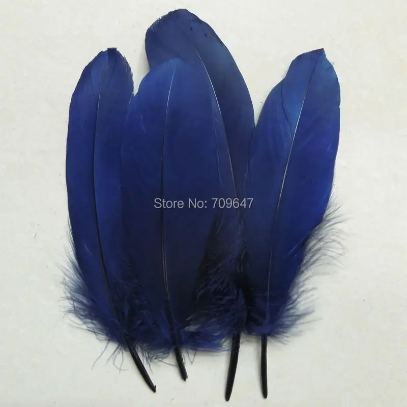 FMQ0089 (1)