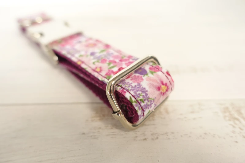 Pet Dog Collar and Leash (26)