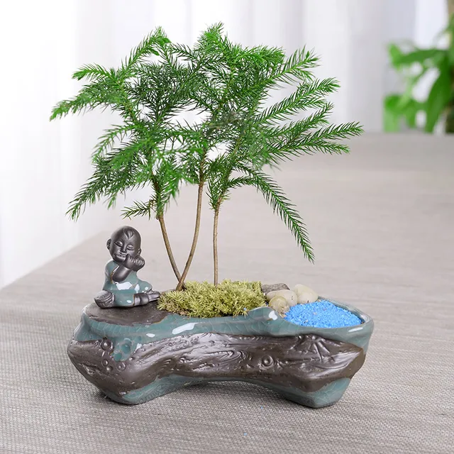Buy Creative Zen Style Plant Bonsai Plants Pots for Flower Ceramic Flower Pot