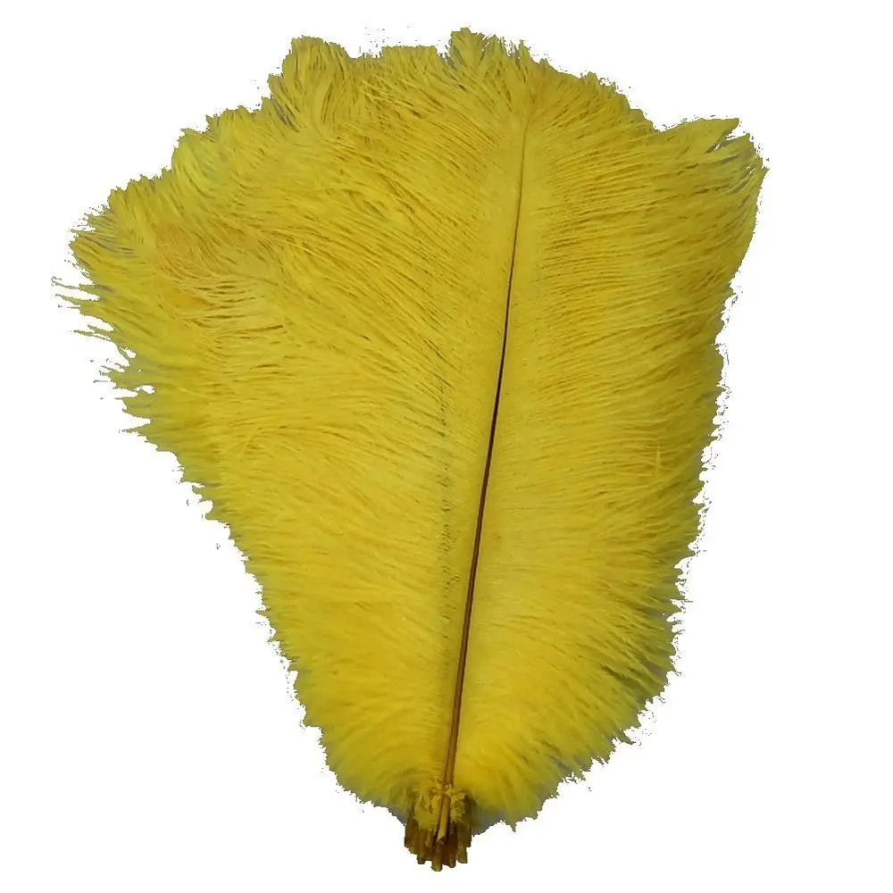 

Wholesale Hard rod 10 Pcs Natural Yellow Ostrich Feathers For Crafts 15-75CM Carnival Party Wedding Decorations Jewelry plumes