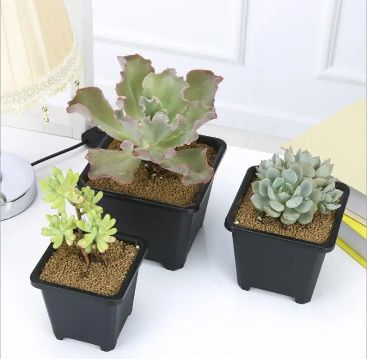 

Sedum Basin Plastic Fleshy Flower Pot Resin Small Square Thick Old Zhuang Small Group Small Black Square Flowerpot