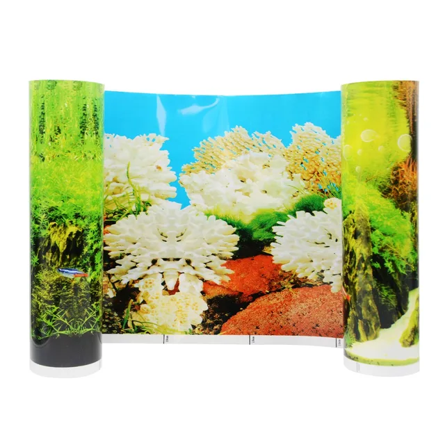 aquarium background paper rome fontanacountryinn com aquarium background paper