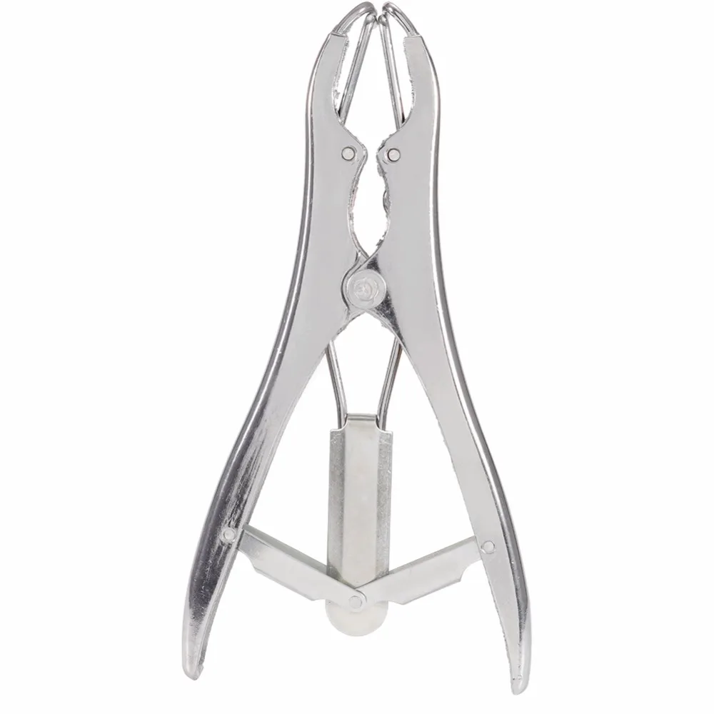 Castration Ring