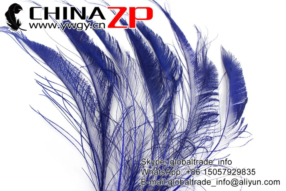Royal Blue Peacock Sward Cut Feathers (3)