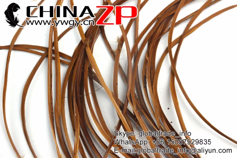 Оптом От chinazp Feathers 200 шт./лот Размер 20 25 см выбранный качественный окрашенный