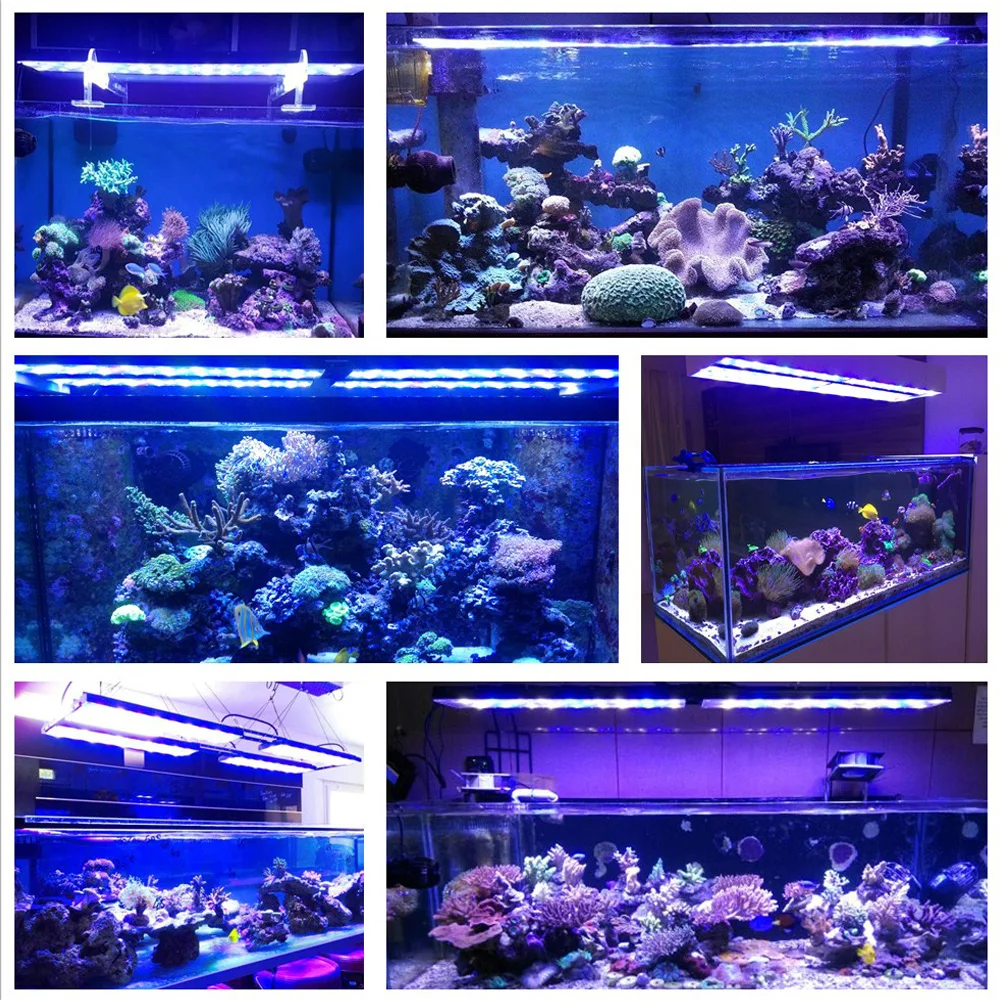 dsuny aqua dimmable led
