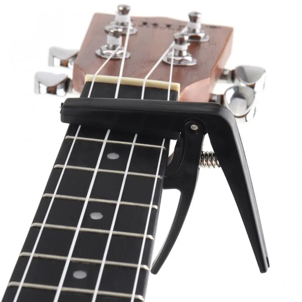 27986-description-8-l1.jpg