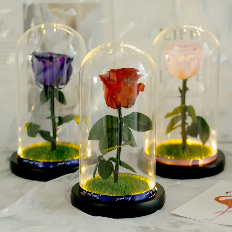 

Rose in Glass Dome with Lights Real Rose,Beauty And The Beast Preserved Rosevalentines Valentines Day Gift for Anniversary Day