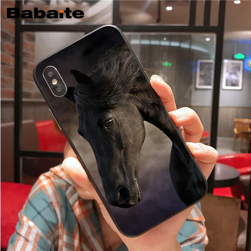 Frederik The Great beauty horse