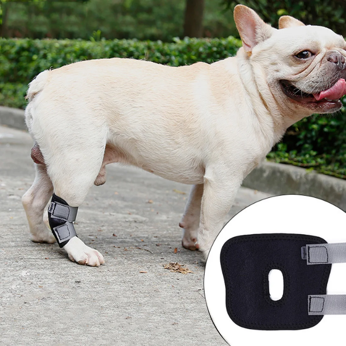 Short Dog Leg Recovery Bandage Pet Knee Pad Leg Protectors Black