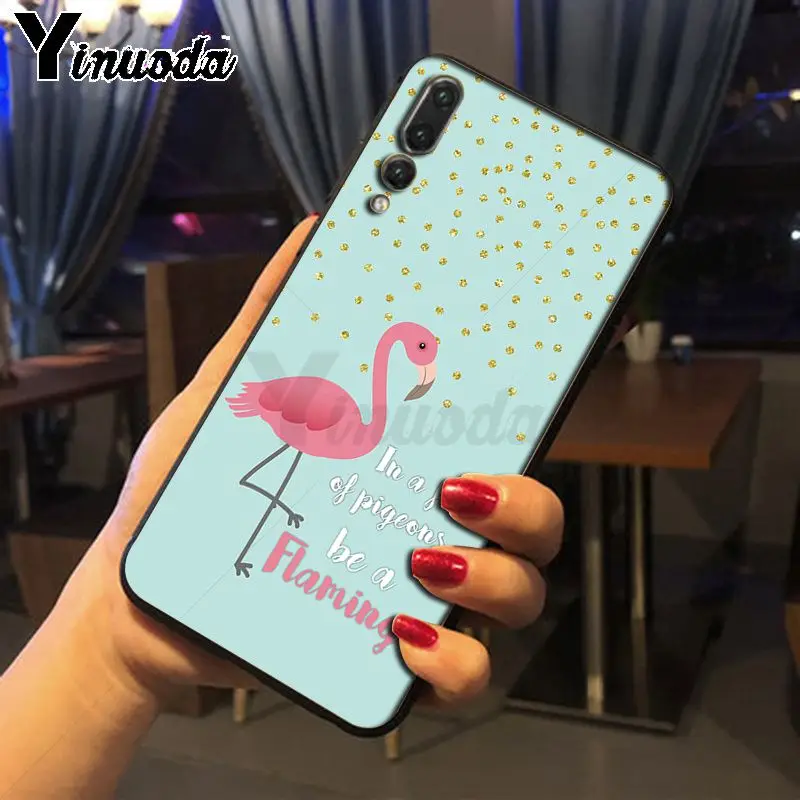 Colorful Flamingo
