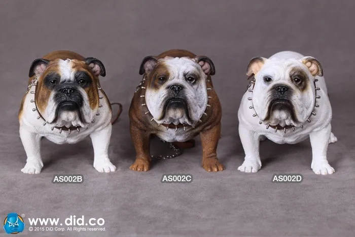

AS002 1/6 British Bulldog 1/6 Animal Accessories Props for 12inch Collectible Action Figures DIY