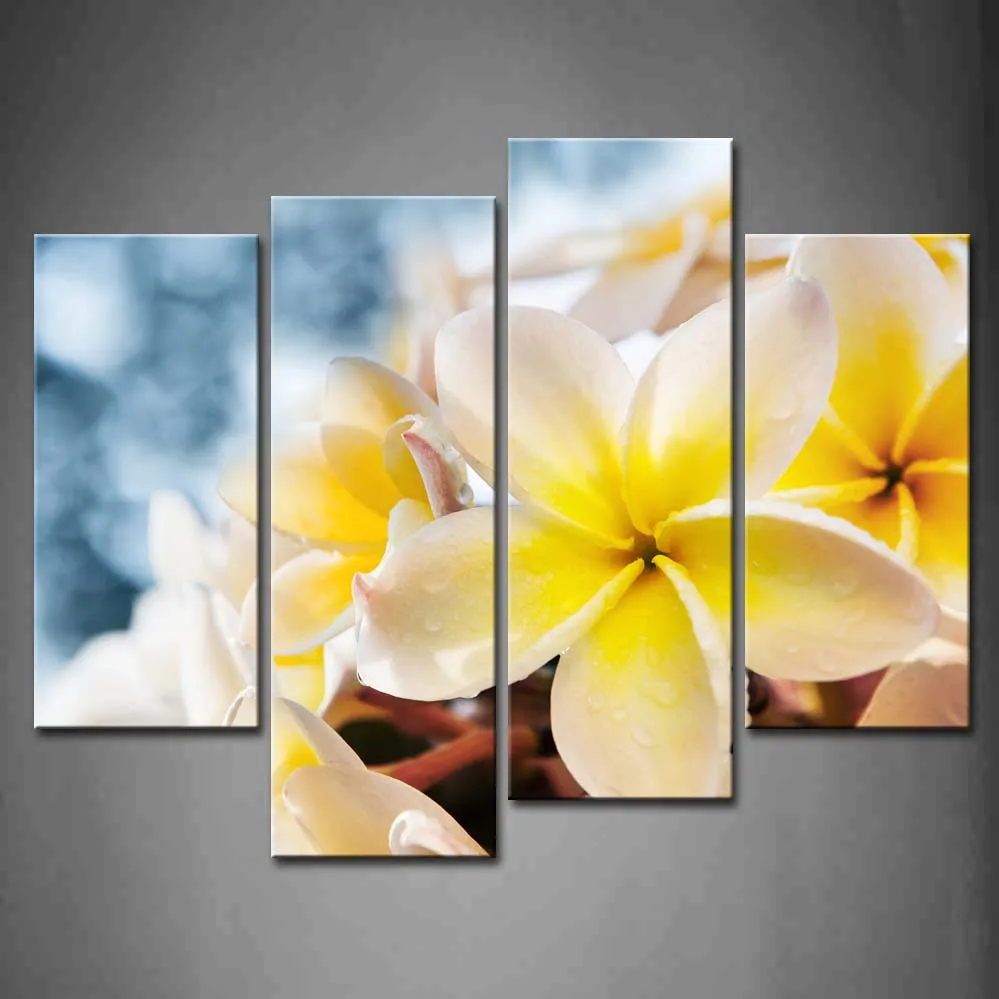 

Framed Wall Art Picture Frangipani Flowers Water Dew Canvas Print Flower Modern Poster With Wooden Frame For Living Room