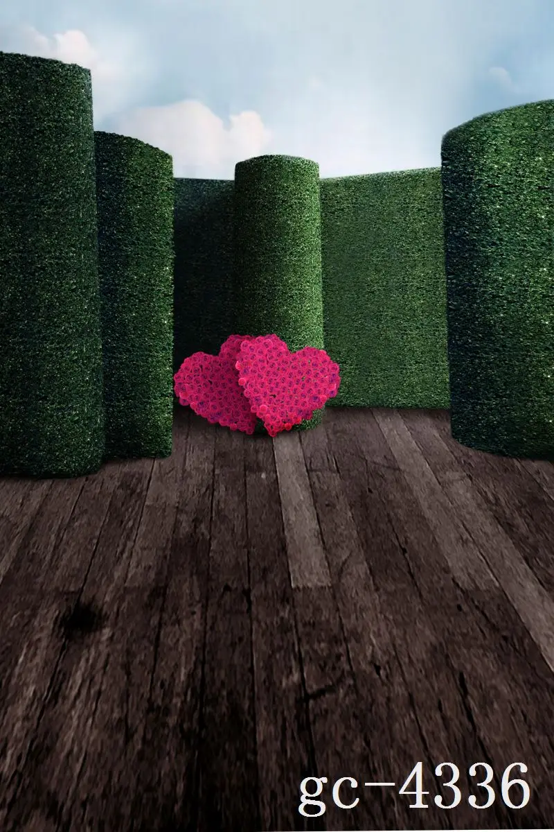 

3*5M Art Cloth Custom Photography Backdrops Prop Indoor theme Studio Background GC-4336