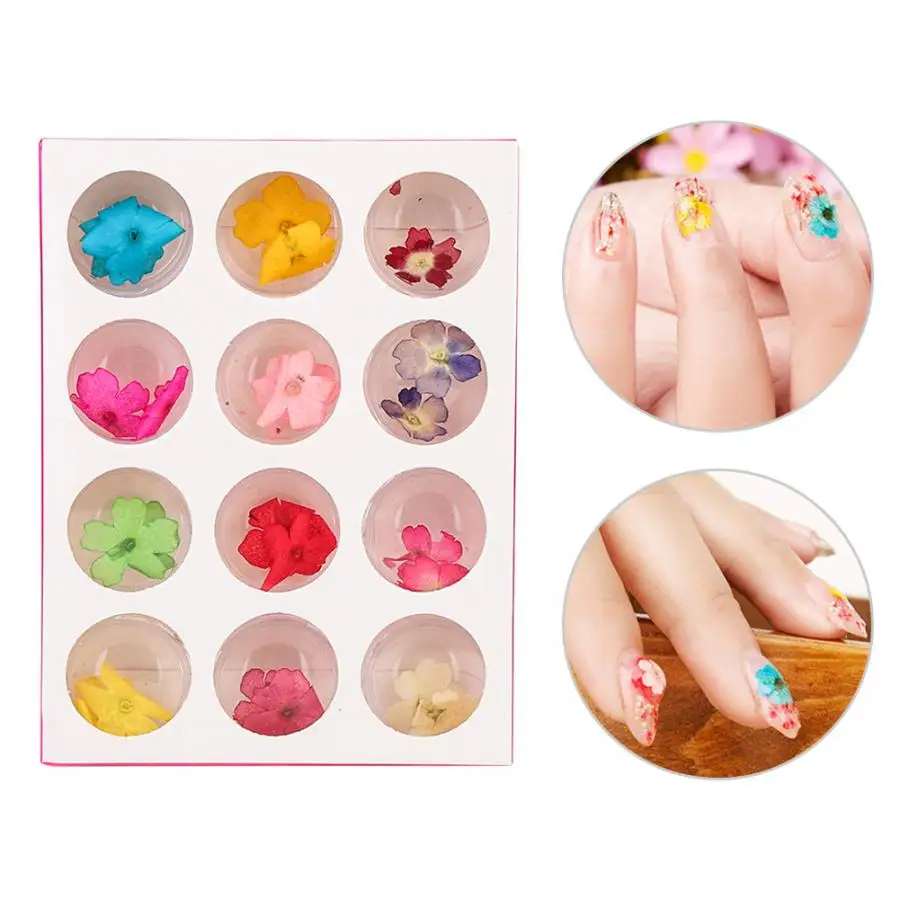

12 Colors Natural Dried Flower for Acrylic UV Gel Nail Art Tips Design Case DIY Dried Flower Decor