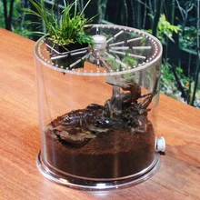 Креативный прозрачный Настольный аквариум для рыб маленькая черепаха для разведения прозрачная акриловая коробка для ландшафтного дизайна аквариумная рептилия