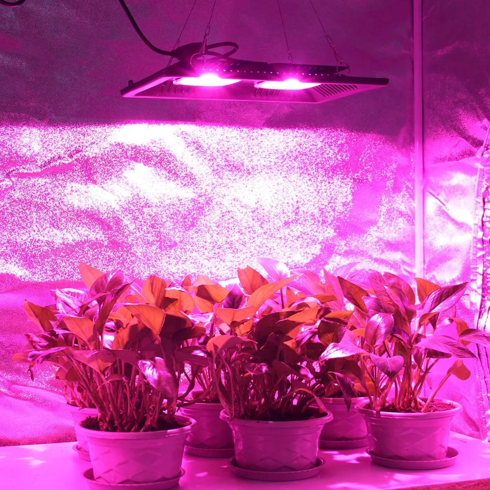 Водонепроницаемый IP67 COB Led Grow Light полный спектр 200 Вт ультра тонкая Светодиодная