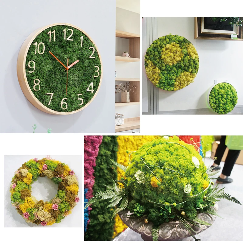 Diy Moss Wall Artificial Dried Natural Moss Preserved Floral Decorative Moss  For Decorating Wall Home Wedding Party Decoration - Artificial Flowers -  AliExpress