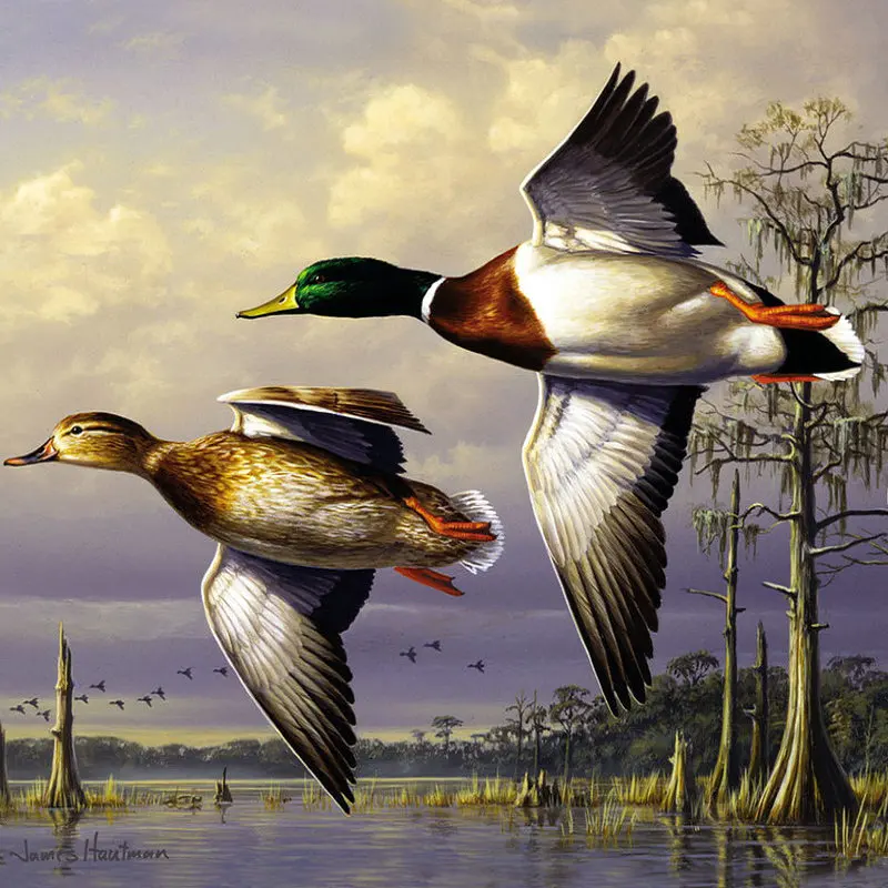 

DIY Square Rhinestone Diamond Embroidery wild duck Mosaic Needlework scenery 5d Diamond Paintings cross stitch handmade Crafts