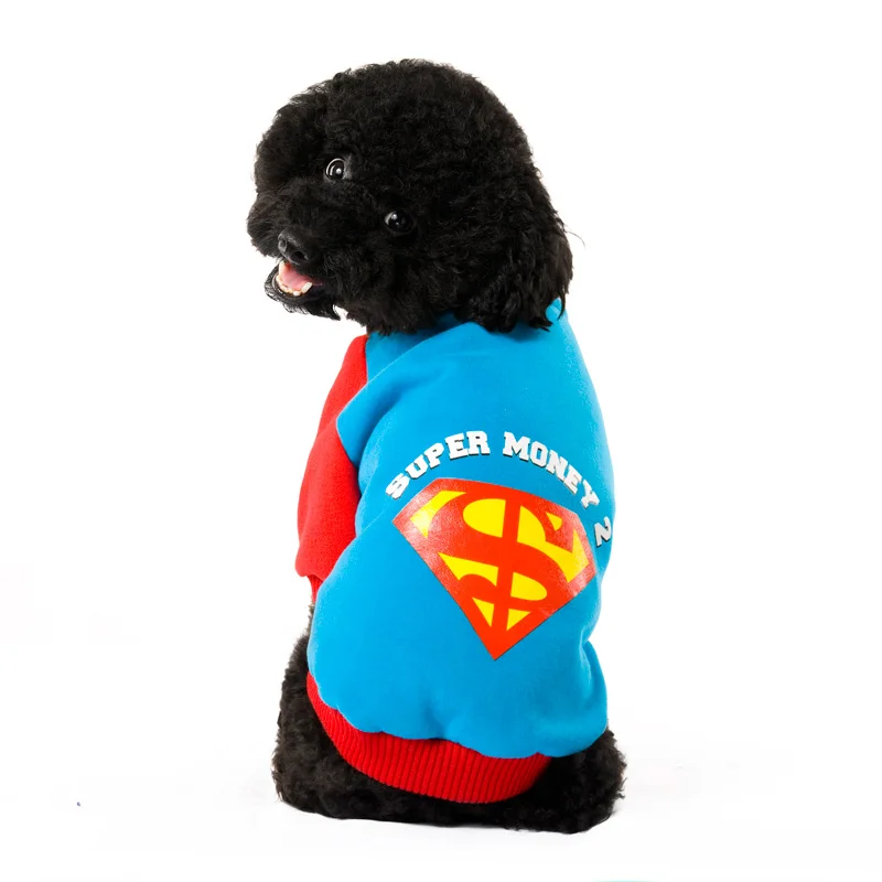 1 dog sweatershirt 