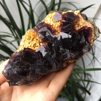 

371g Hot sale Natural COLORFUL CRYSTAL CLUSTER Mineral Specimen PURPLE yellow FLUORITE