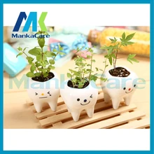 3 pcs Contracted Creative Mini Teeth Flower Pots Planters Ceramic White Hydroponics Garden Pot teeth Herb plants Dental gift