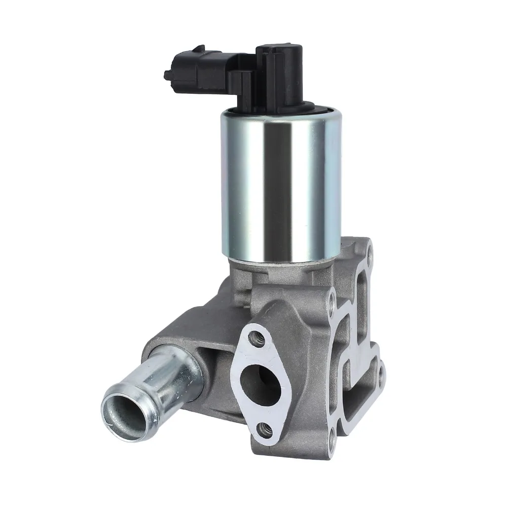 IMG_5022