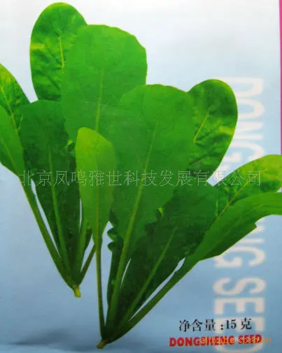 

Hot arugula bonsais vegetable bonsais 100pcs