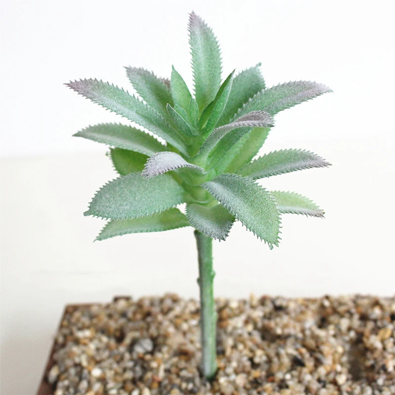 Искусственное пластиковое суккулентное растение кактус цветок эчеверия домашний офис Декор подарок