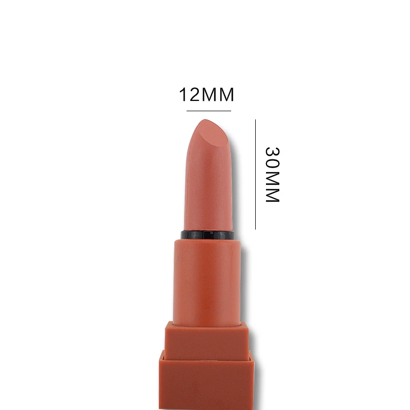 UBUB Matte Lipstick Moisturizer Smooth Long Lasting Charming Lips Makeup Pumpkin Color Lip Stick Cosmetic Beauty Makeup (9)