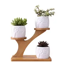 Simple White Succulent Plant Flower Pot Holder Ceramic Owl Pumpkin Pattern Pot Treetop Shaped Bamboo Shelf Pot Planter Set
