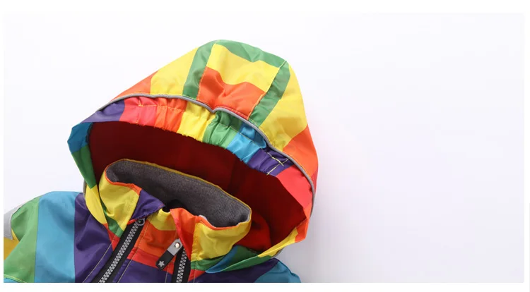 1017--561320204975_detail_12