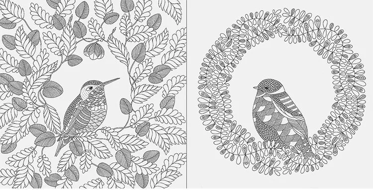 Malbuch Packpacka Secret Garden III Animal Kingdom An Treasure Hunt And Coloring Book Adult Colouring Books Libro Graffiti In From Office School