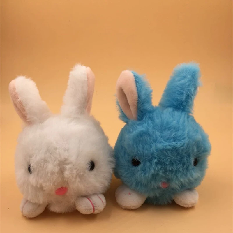 rabbit (2)