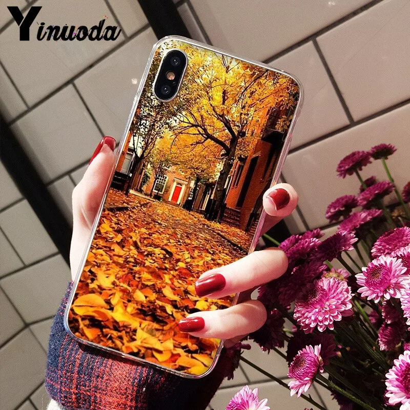 Autumn falling leaves