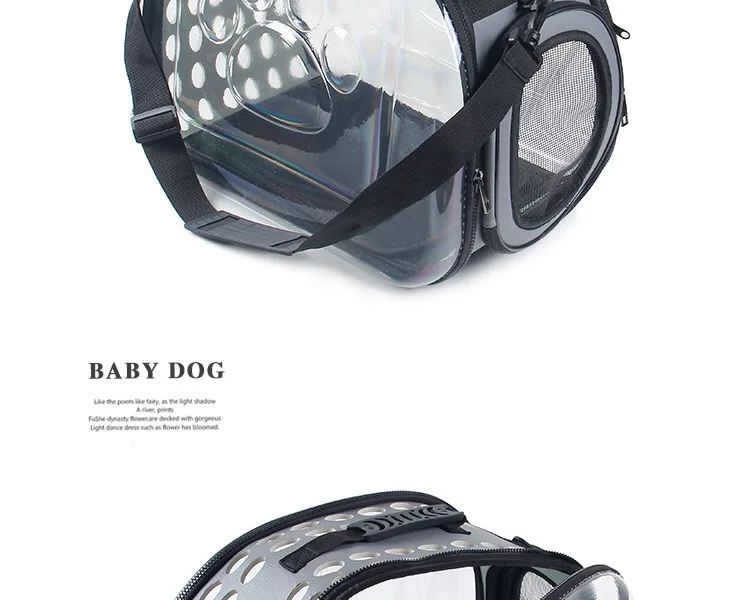 dogIMG_2460