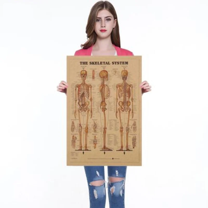 

Skeleton Body Structure Nervous System Poster Kraft Paper Painting Wall Sticker