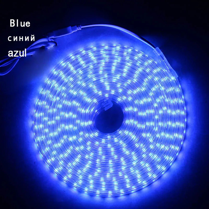 LAIMAIK светодиодные ленты свет Водонепроницаемая rgb лента светодиодная 5050 светодиодная лента 220 гибкий светодиодная лента 220в 60 светодиодный s/M освещения со штепсельной вилкой европейского стандарта - Испускаемый цвет: Blue