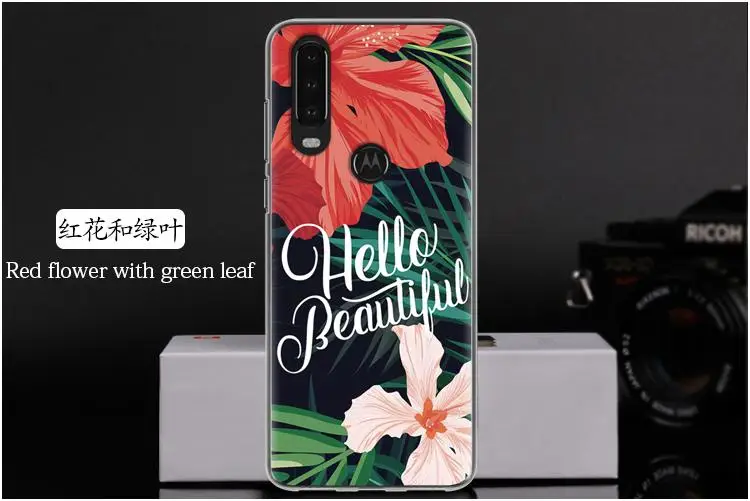 红花和绿叶 Red flower with green leaf