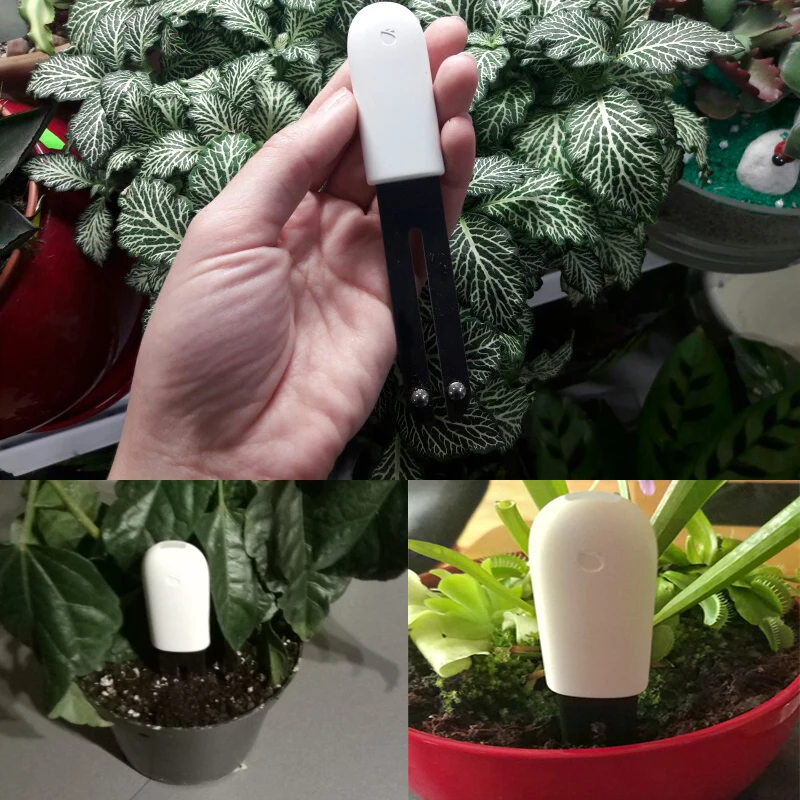 Mi Flower Monitor Xiaomi Купить
